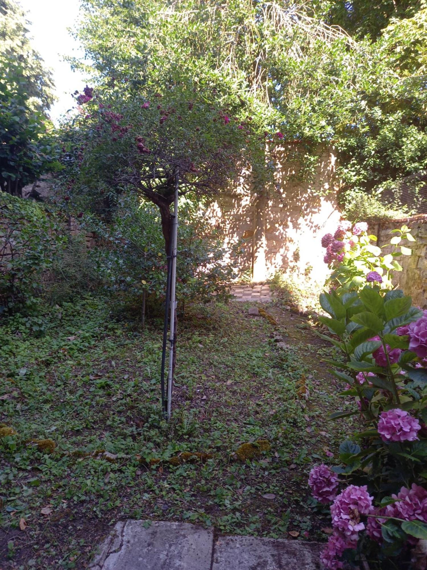 דירות נאנסי La Teranga De Kadi & Cathy, Avec Jardin Privatif מראה חיצוני תמונה