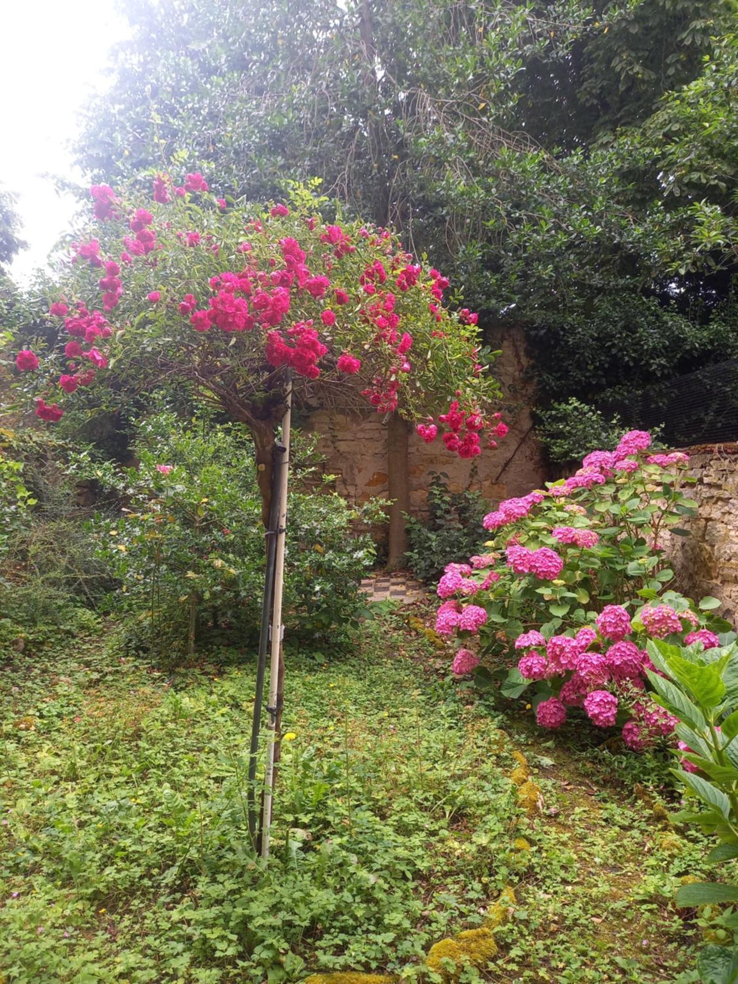 דירות נאנסי La Teranga De Kadi & Cathy, Avec Jardin Privatif מראה חיצוני תמונה